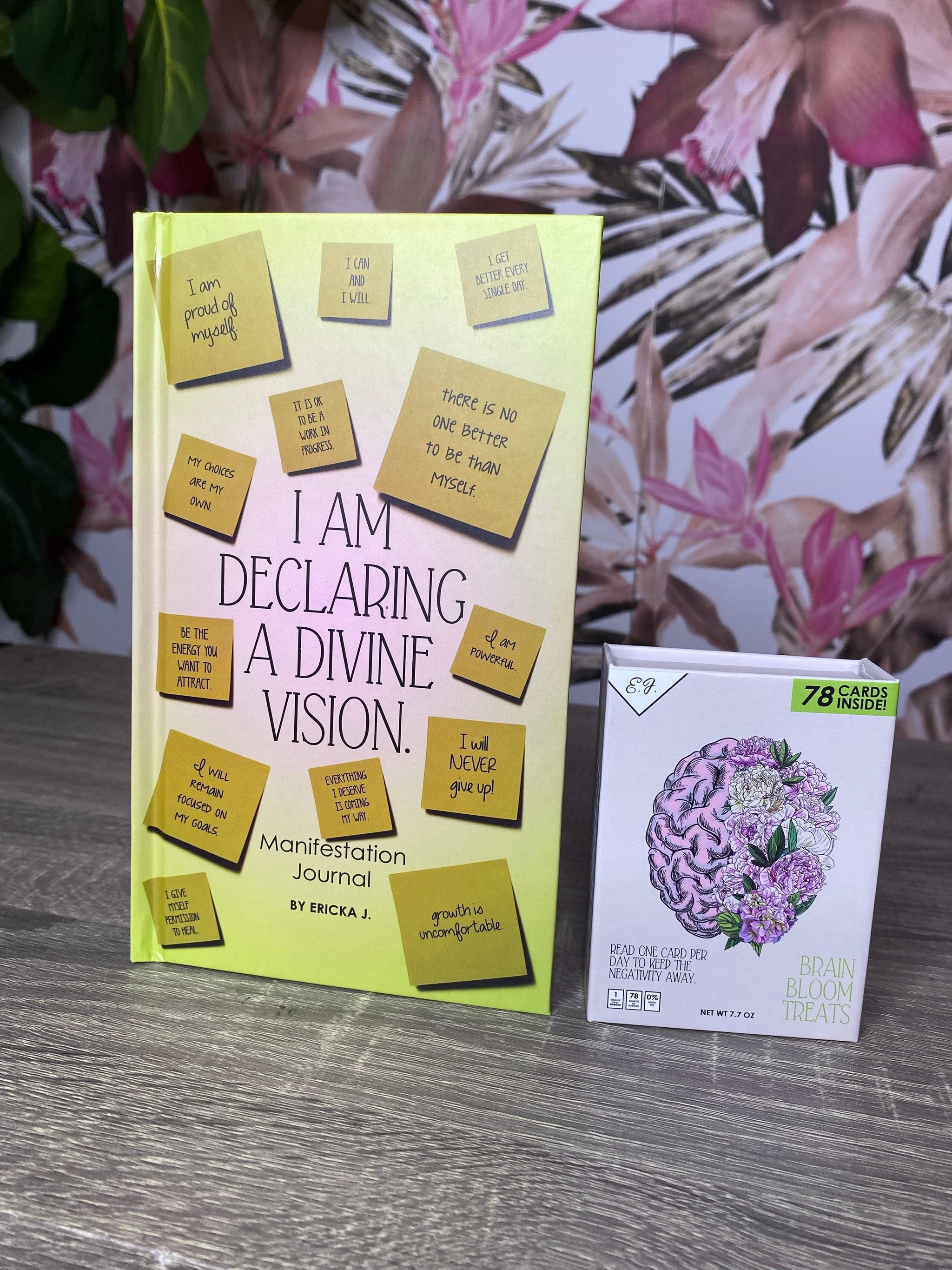 Divine Vision Manifestation book & card set by Ericka J.